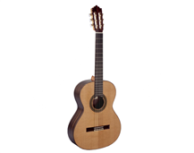 Paco Castillo 204 4/4 Gloss