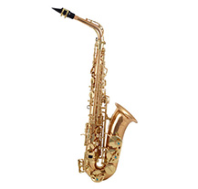 Yanagisawa AWO2 Alto Saxophone Lacquered