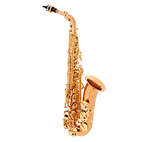 Yanagisawa AWO20 Elite Lacquered Alto Saxophone