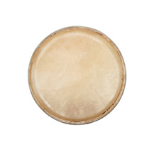 Club Salsa Standard 11" Conga head