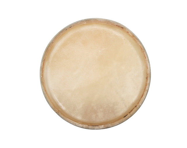 Club Salsa Standard 11.75" Conga Head