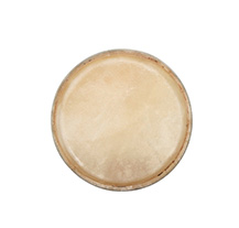 Club Salsa Standard 11.75" Conga Head