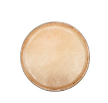 Club Salsa Standard 12.50" Conga Head