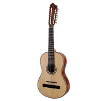 ArtiMusica 100 simple model Viola da Terra guitar