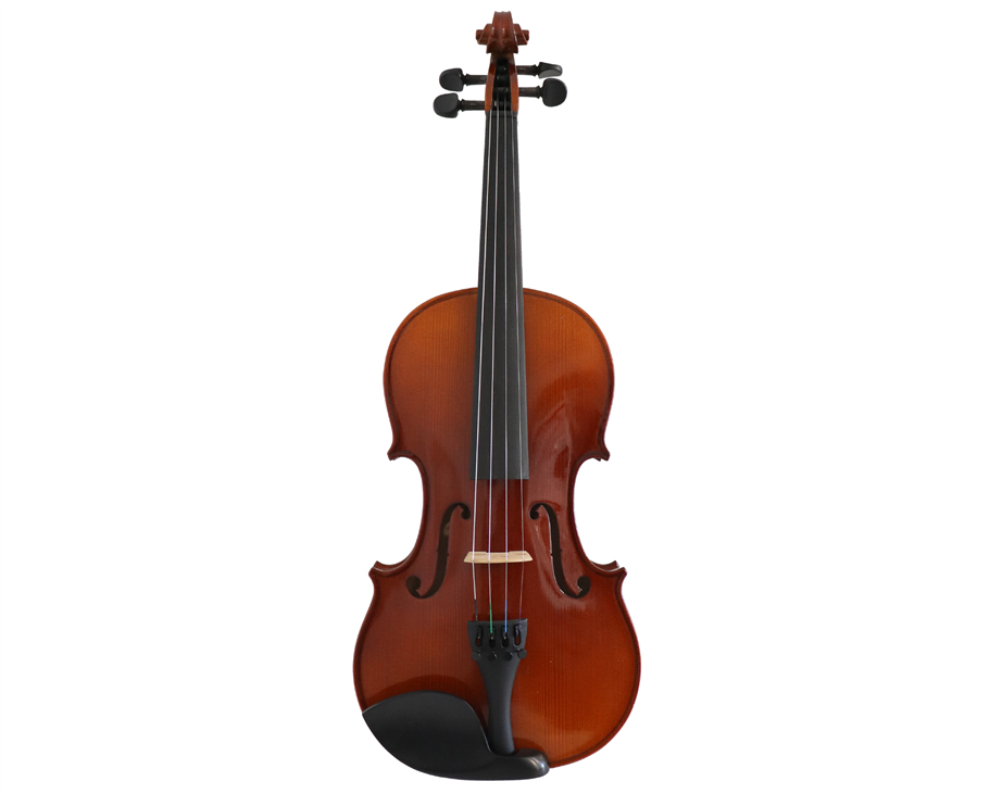 Carlo Giordano VL1 14" with Case and Bow Viola