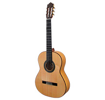 Paco Castillo 214F Flamenco
