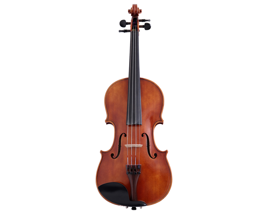 Alessandro L10 4/4 Violin with Case and Bow