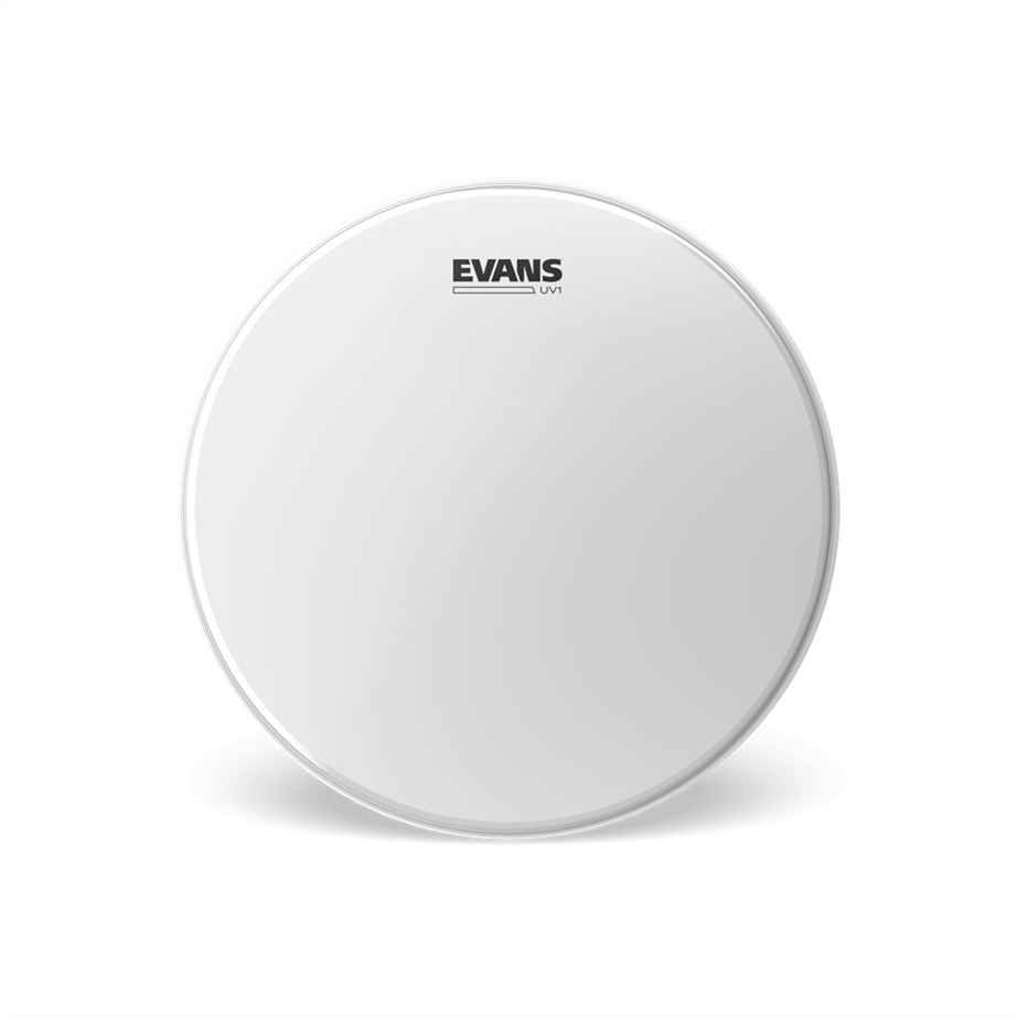 Evans B12UV1 Coated 12" Tom Head