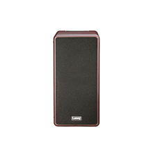 Amplificador Acústico Laney A-Duo