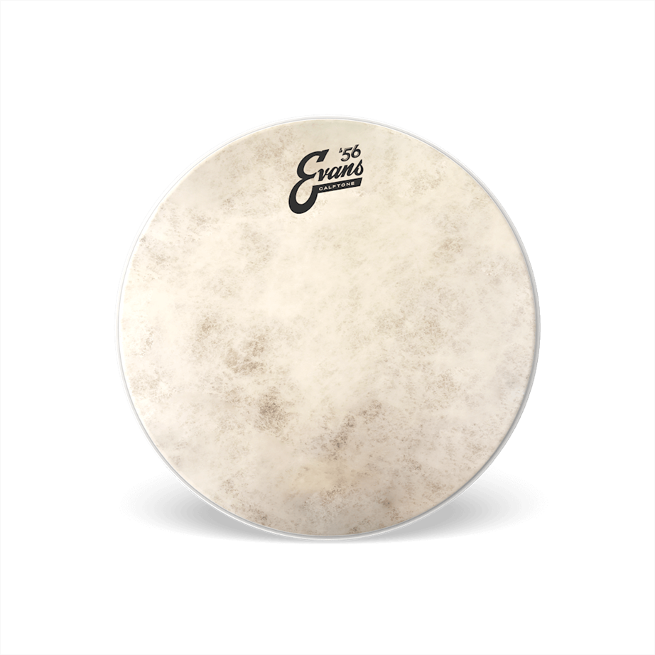 Parche de Tom Evans TT14C7 14" Calftone