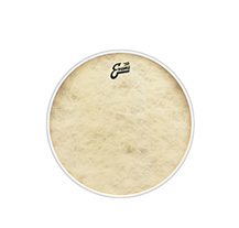 Evans TT14C7 14" Calftone Tom Head