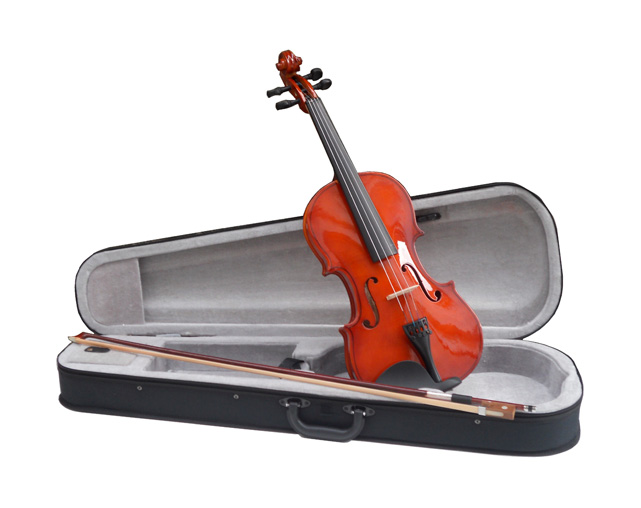 Amadeus VA101-1/8 1/8 Violin with Case Bow | Ludimusic