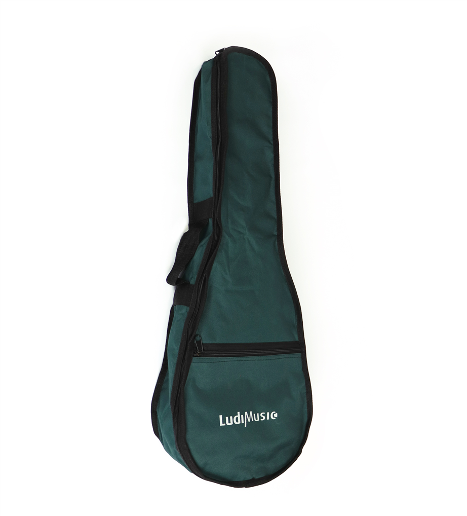 Ludimusic Logo 20B Green 1/4 Classical Guitar Bag