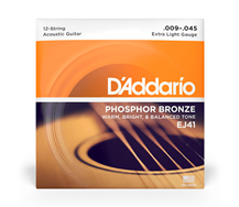 D'Addario EJ41 12 strings 009-045 Acoustic Guitar String Set