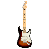 Fender Limited Edition Player Stratocaster PF Black | Ludimusic