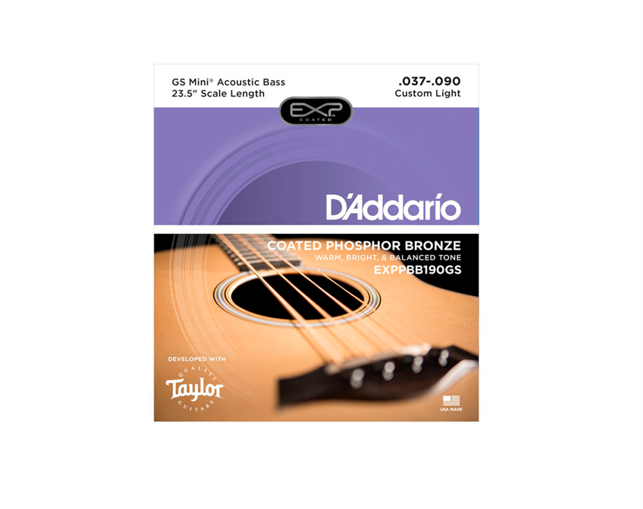 Taylor gs mini clearance strings