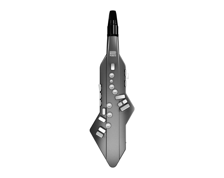 Roland Aerophone GO
