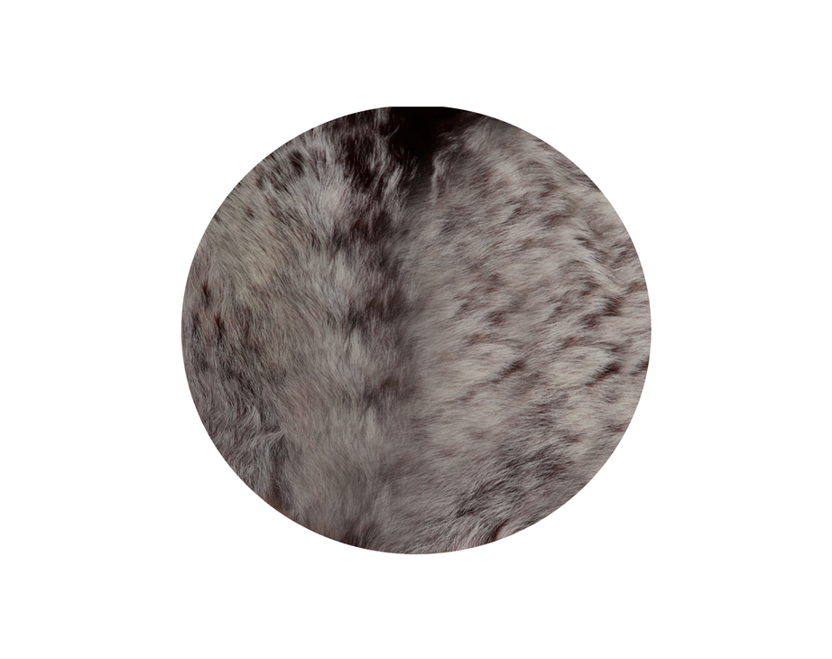 Adamastor 50cm com pelo natural drum head