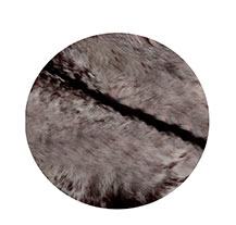 Adamastor 100Cm com pelo natural drum head