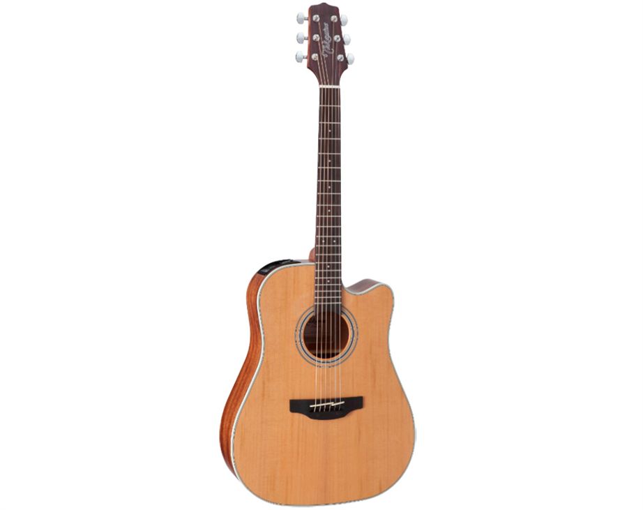 Takamine GD20CE Natural
