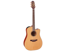 Takamine P3DC Natural
