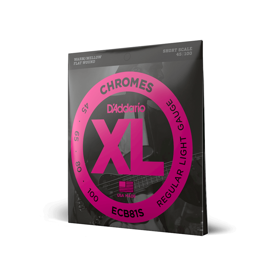 D'Addario ECB81-S Chrome Flat Wound 045-100 Bass Guitar Strings