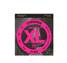 D'Addario ECB81-S Chrome Flat Wound 045-100 Bass Guitar Strings