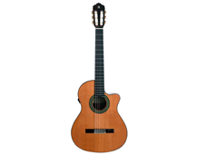 Alhambra 5PCW E8 Natural with Gig Bag Fishman Flex M Blend