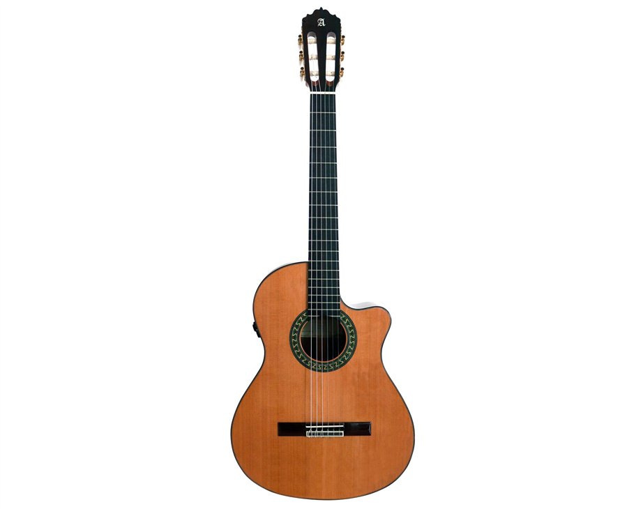 Alhambra 5PCW E8 Natural with Gig Bag Fishman Flex M Blend