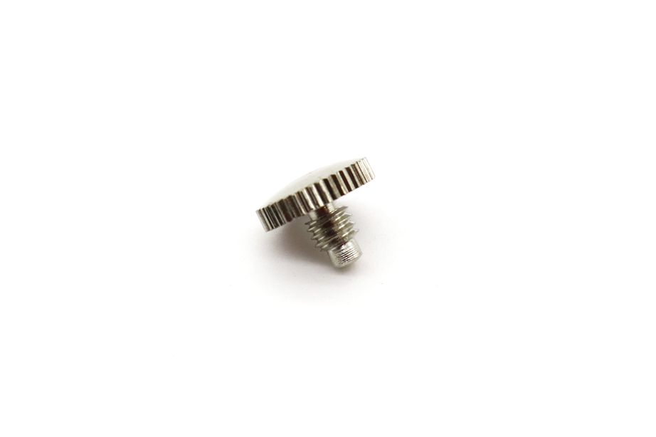 Roy Benson Trombone BT260 Golden Screw