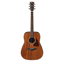 Ibanez AW54 OP Open Pore natural