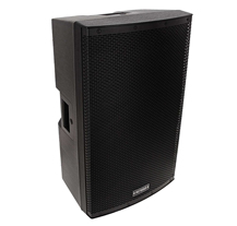 Definitive Audio Koala 15A BT