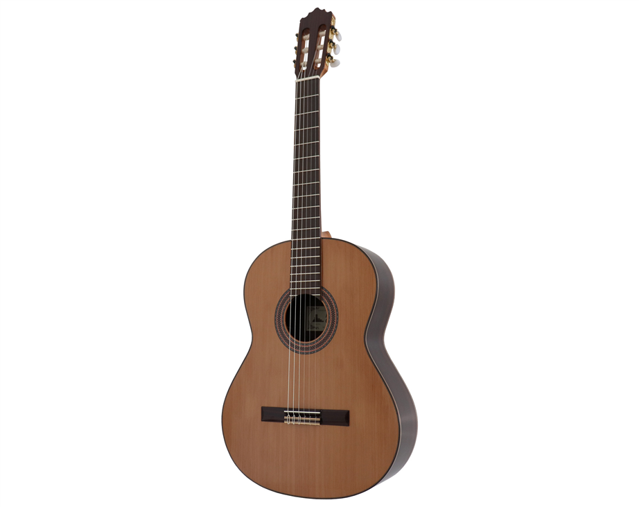 Paco Castillo 203 III Fishman 4/4