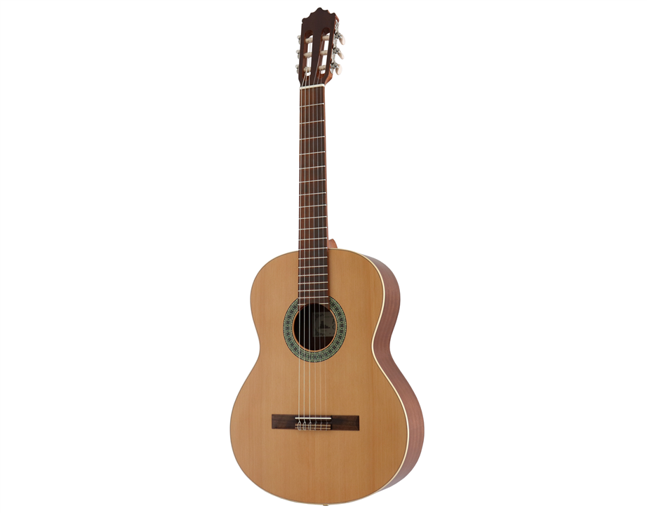 Paco Castillo 201 III Fishman 4/4