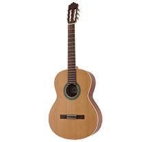 Paco Castillo 201 III Fishman 4/4