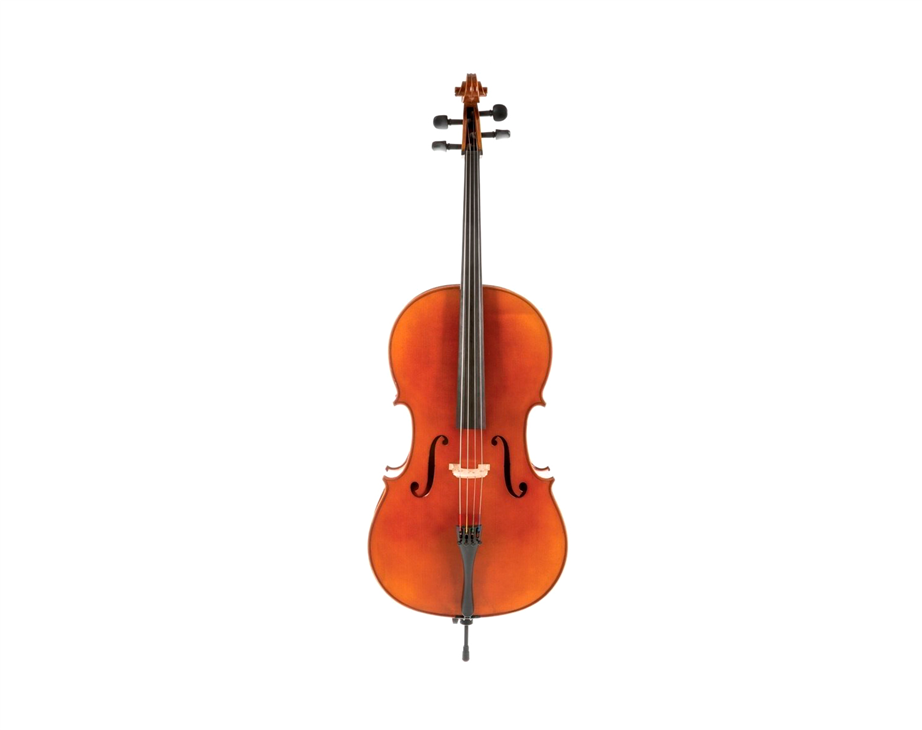 Gewa Allegro VC1 Pack 4/4 Cello