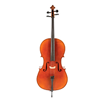 Gewa Allegro VC1 Pack 4/4 Cello