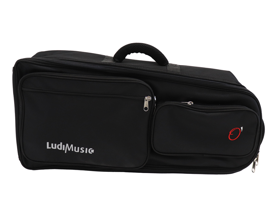 Ludimusic Logo 7698 Pipebag Case