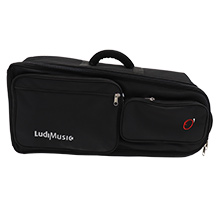 Ludimusic Logo 7698 Pipebag Case