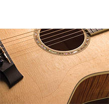 Taylor Static Universal Pickguard