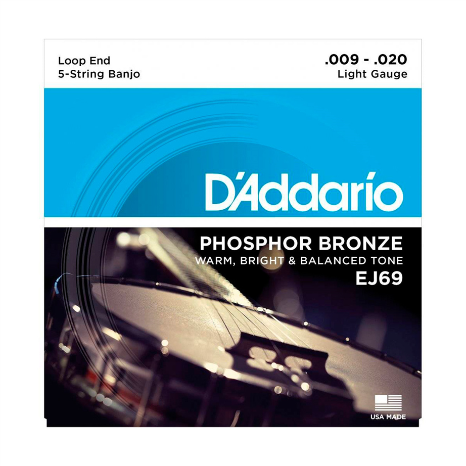 D'Addario EJ69 Loop End 009-020 Banjo Strings