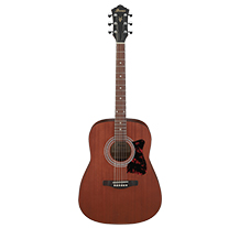 Ibanez V54NJP Pack Open Pore