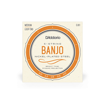 Daddario EJ61 loop end 010-023 Banjo strings