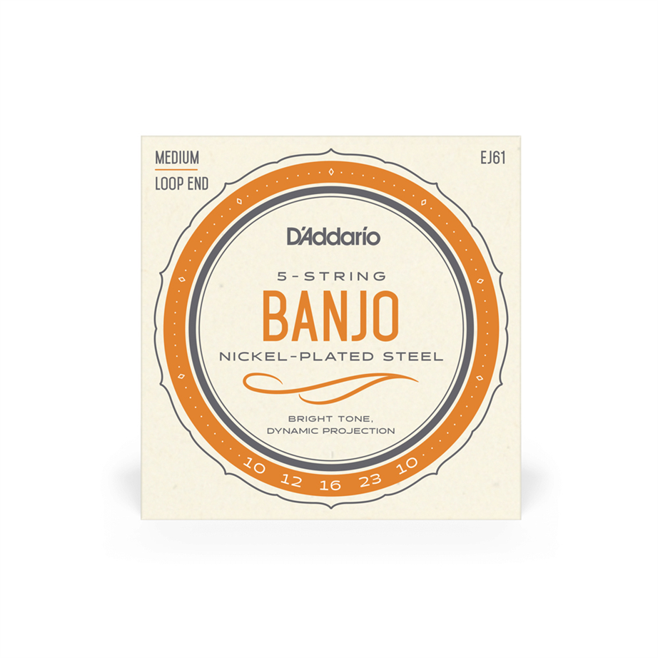 Jogo cordas banjo Daddario EJ61 loop end 010-023