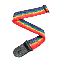 D'Addario PWS111 Poly Pro Rainbow Guitar Strap
