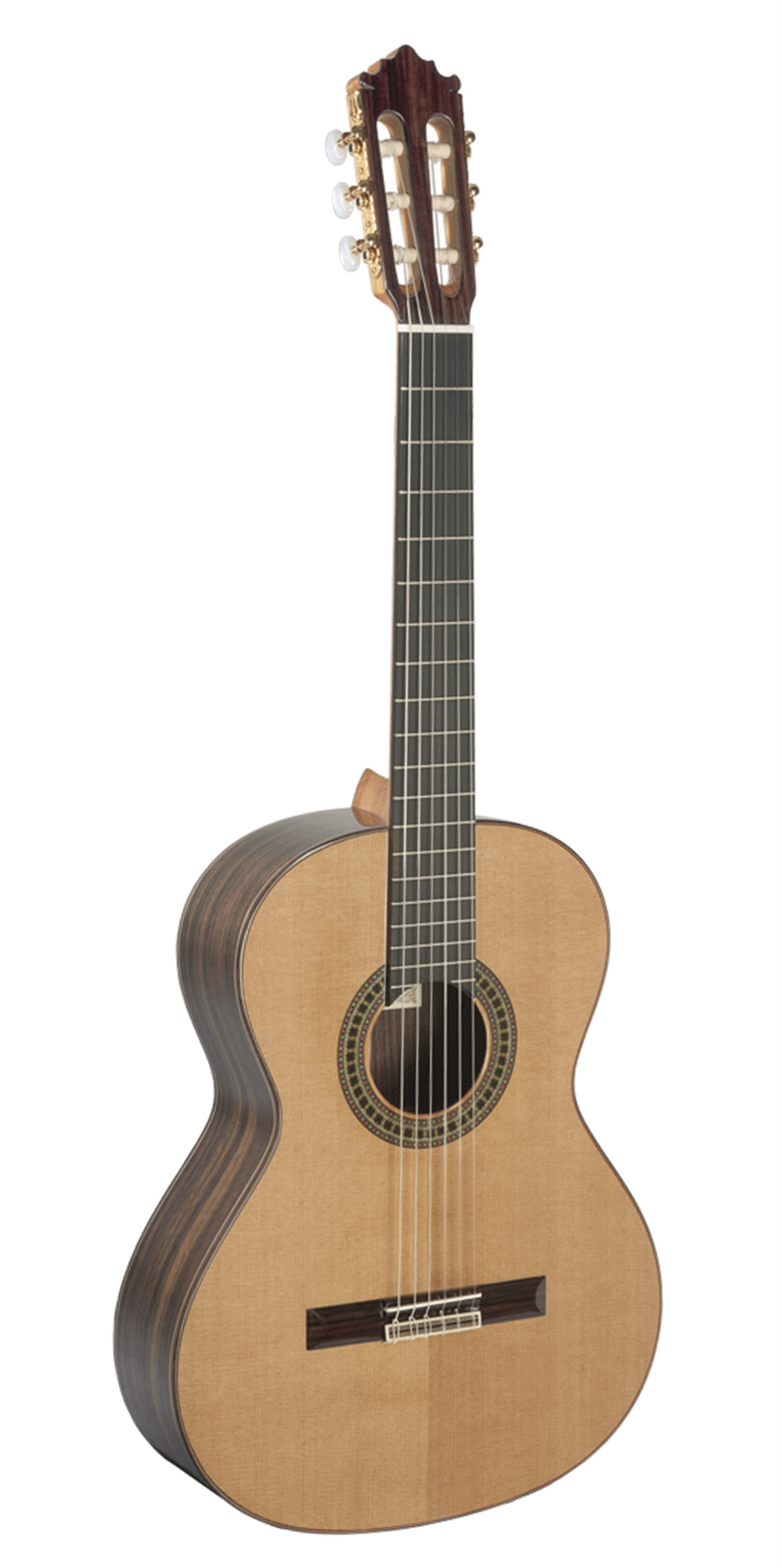 Paco Castillo 204E Classical Guitar with Pickup