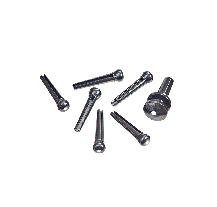 D'Addario PWPS10 Plastic Bridge Pins