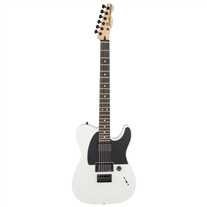 Fender Jim Root Telecaster EB Flat White