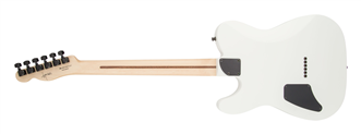 Fender Jim Root Telecaster EB Flat White | Ludimusic