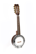 Apc BJPT100 with case Banjo